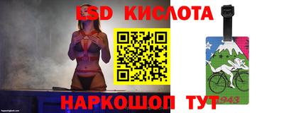 2c-b Камышлов